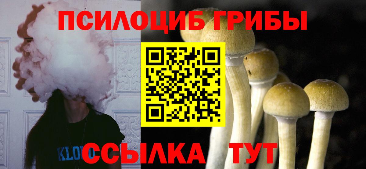 Галлюциногенные грибы GOLDEN TEACHER Воткинск