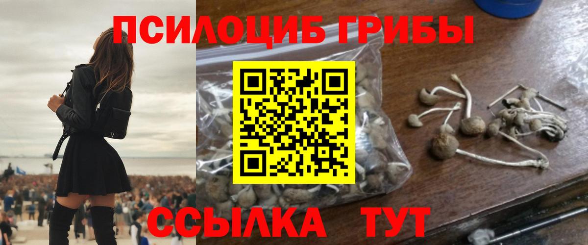 Галлюциногенные грибы Psilocybe  Вход с VPN  Воткинск 